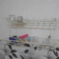 اب چکان