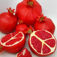 همکاری هنری تولید محصولات دکوراتیو در کار در منزل
