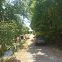 زمین-باغی-200-متری-با-سند-تک-برگ-در-قلعه-نو