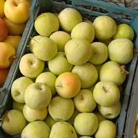 انواع سیب کیلویی ۸۵ هزار تومان