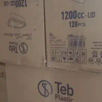ظرف یکبار مصرف
