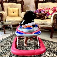 روروئک مدل دلیجان رنگ صورتی