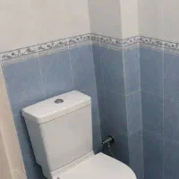 توالت فرنگی