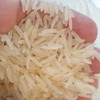 برنج هندی فله
