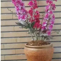 گل مصنوعی شب بو