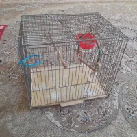 قفسه جای پرنده