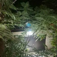 اجاره-یک-باب-مغازه