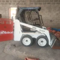 مینی بابکت