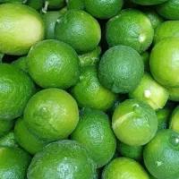 لیمو ترش