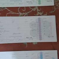 سفته خام (بی نام) مقدار محدود با کمترین قیمت|خدمات مالی، حسابداری، بیمه|اهواز, کوی باهنر|دیوار