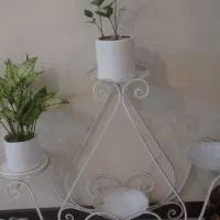 استند گل