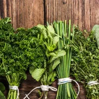 سبزی محلی دسته ای۱۳ پارک دانشجو خ دانشجو نبش کوچه۴