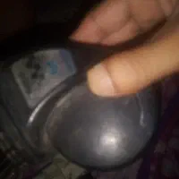 یک جفت بوق شیپوری سالم