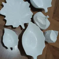 سرویس اجیل خوری