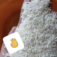 لاشه هاشمی