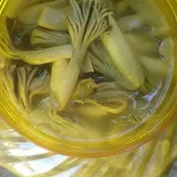 ترشی بیلهر