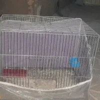 قفس پرنده با لوازم