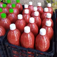 رب گوجه خانگی