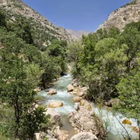 تنگ‌گنجه ای یاسوج