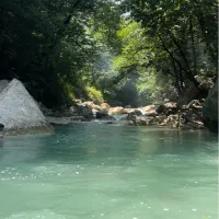 تور ابتنی برنامه های شاد