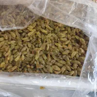 کشمش قلمی ممتاز کاشمر
