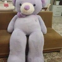 خرس شاسخین مخصوص ولنتاین