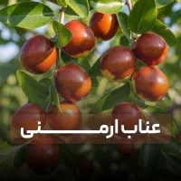 انواع متفاوت نهال پیوندی با کیفیت وضمانت