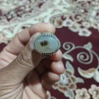 انگشتر شجر