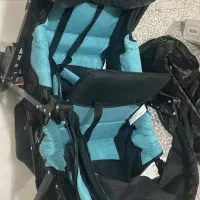 کالسکه دو قلو