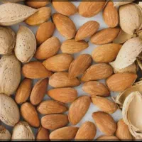 بادام تازه مال امسال