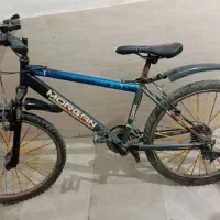 دوچرخه دنده ای ۲۴