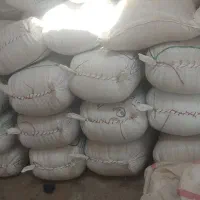 جو دیم