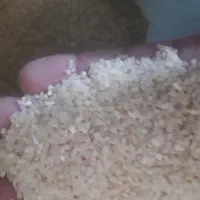 خرده برنج طارم هاشمی دون درشت
