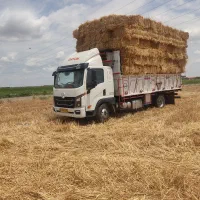 خریدوفروش یونجه چین دوم وبسته بندی کاه و کلش گندم
