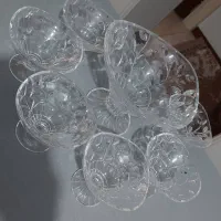 ظرف پذیرایی لاروس