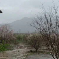 نگهبان و کار باغ