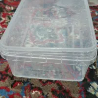 ظرف یکبار مصرف