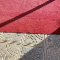 موکت