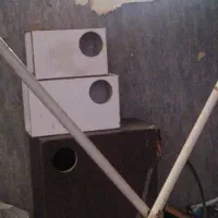لانه پرنده