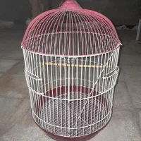 قفس پرنده
