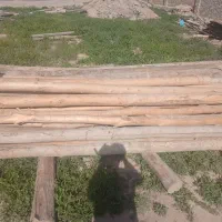 فروش چوب سقفی یا چوب کهنه. تیجه وچوب گردو