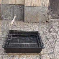 قفس پرنده