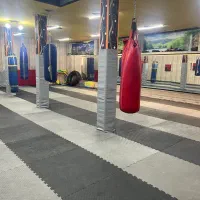 تاتمی وکیسه بوکس