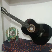 گیتار زیبا