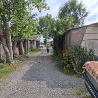 کارگر ساده باغداری دامداری