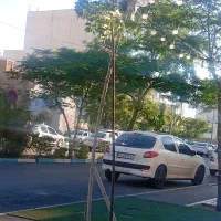 نظافت منزل و کلیه امور