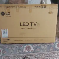 LG43