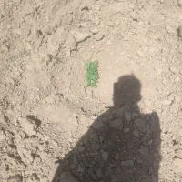 زمین-شکراب
