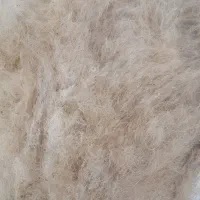 پشم امسال گوسفند