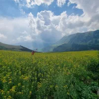 اجاره روزانه با دسترسی به مکان گردشی